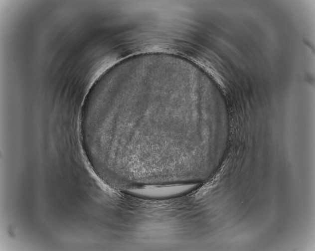 X0000096670991200803041217