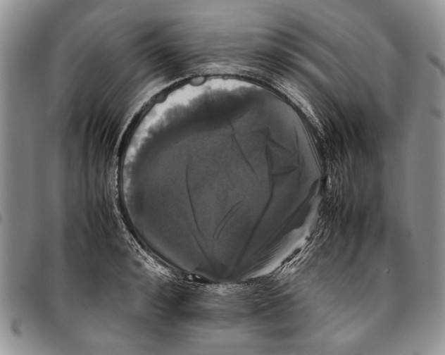 X0000096670992200803041217