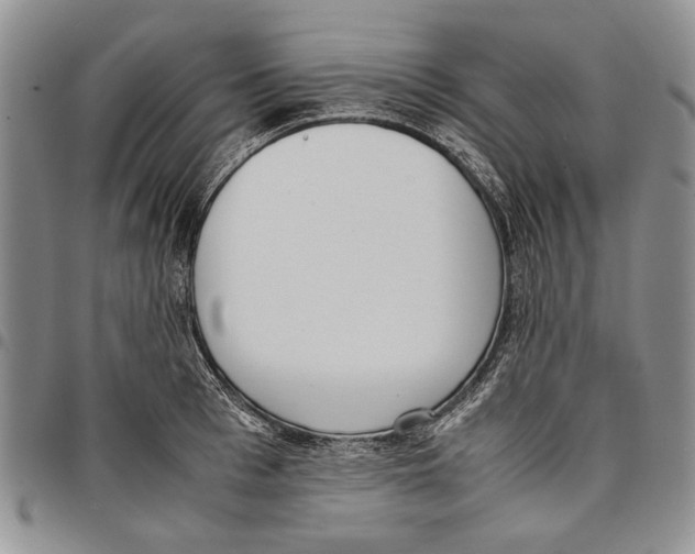 X0000096670993200803041217