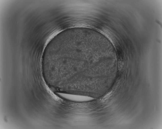 X0000096670995200803041217