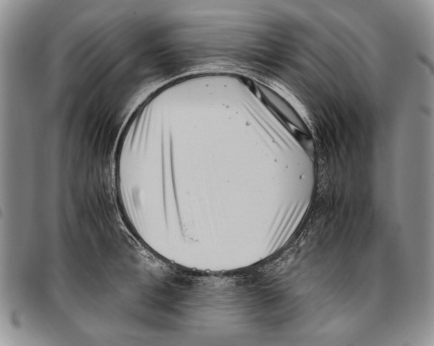 X0000096670996200803041217