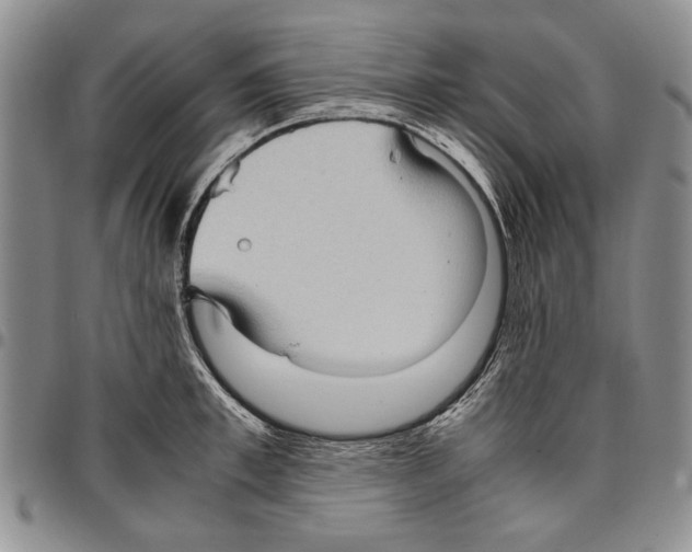X0000096670997200803041217