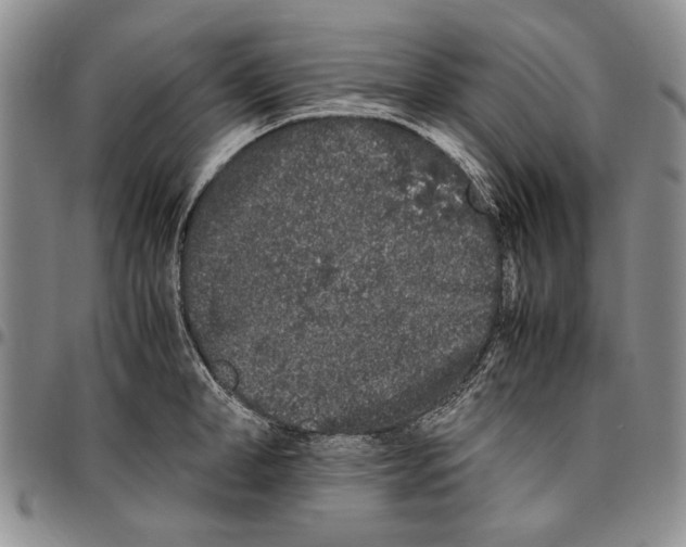 X0000096670998200803041217