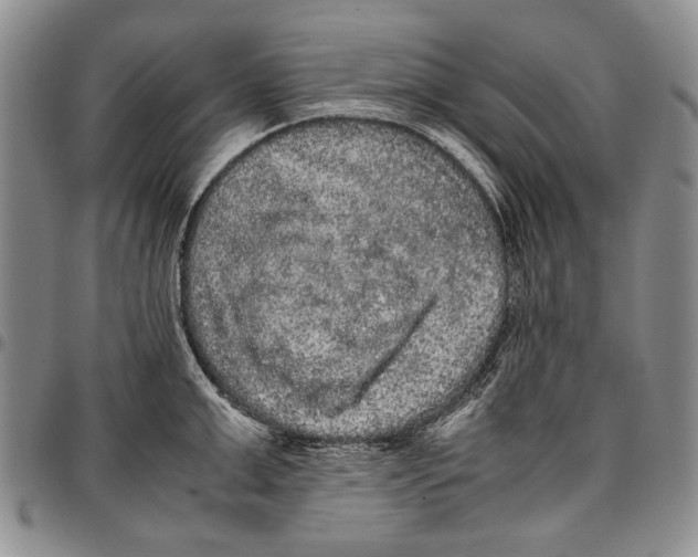 X0000096670999200803041217