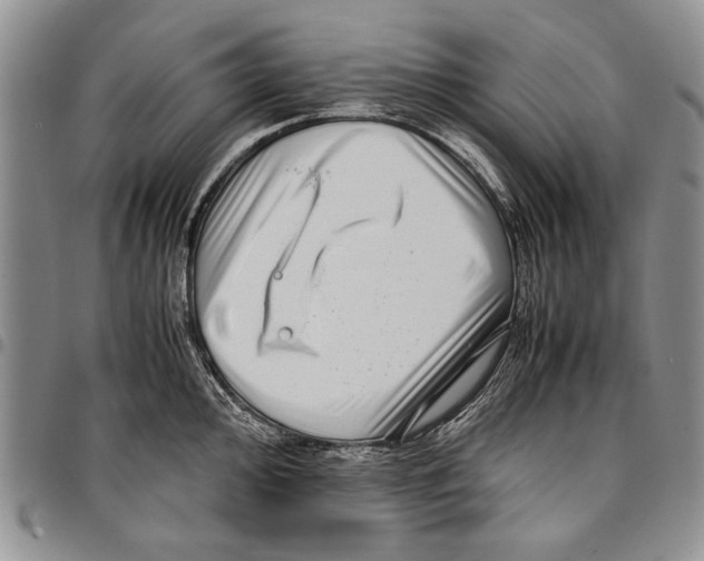X0000096671000200803041217