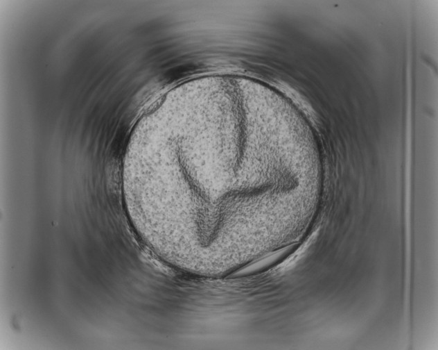 X0000096671001200803041217