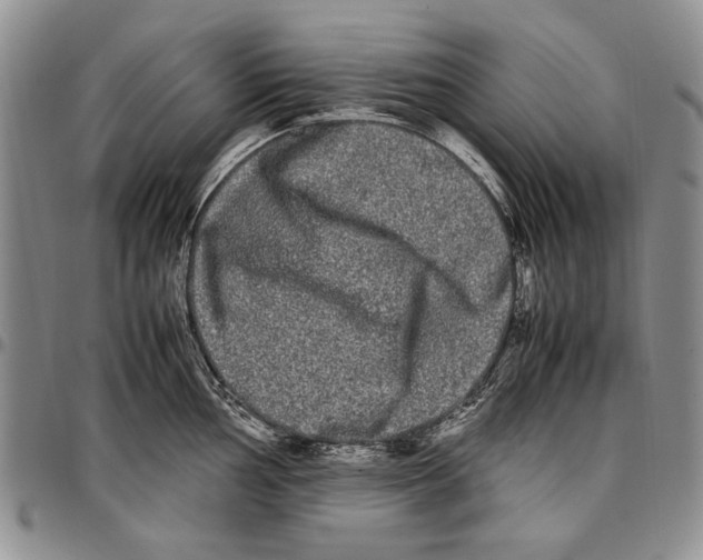 X0000096671002200803041217