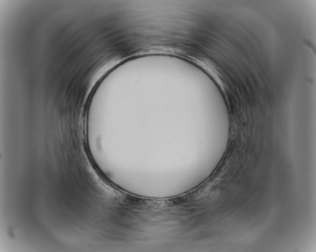 X0000096671003200803041217