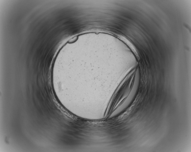 X0000096671004200803041217