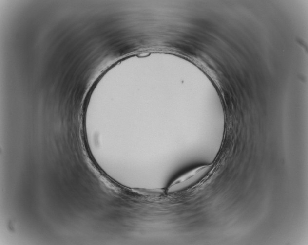 X0000096671005200803041217