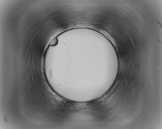 X0000096671006200803041217
