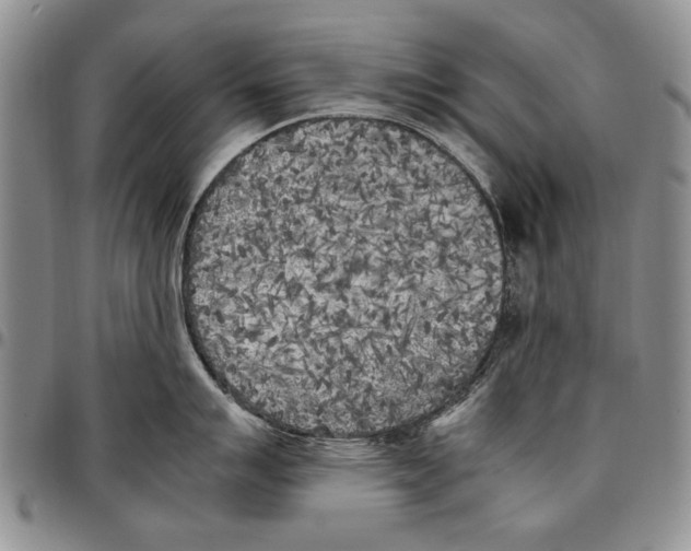 X0000096671007200803041217