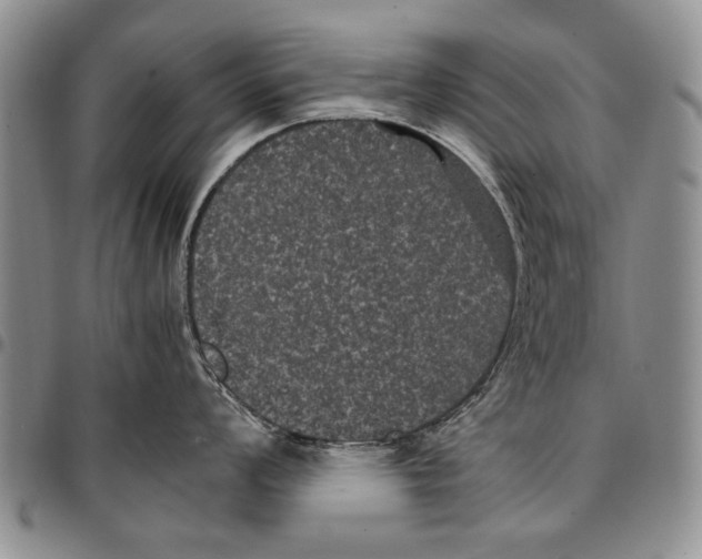 X0000096671008200803041217