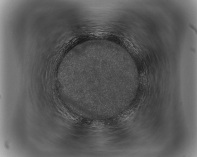 X0000096671009200803041216