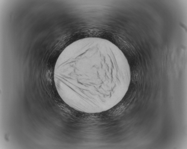 X0000096671010200803041216