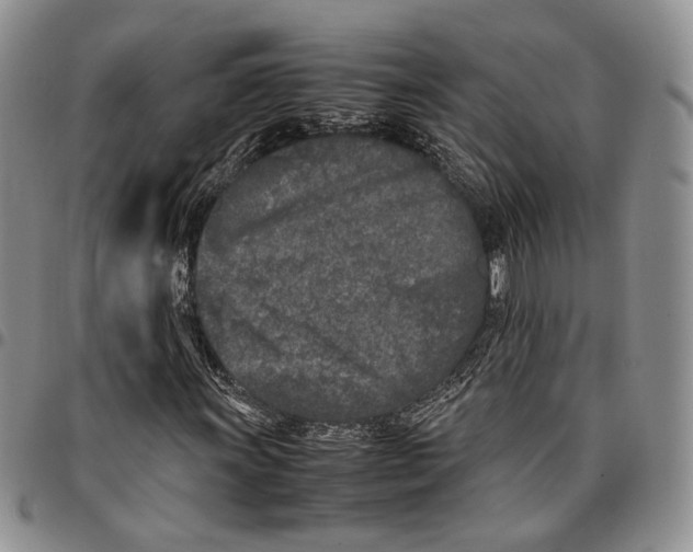 X0000096671011200803041216