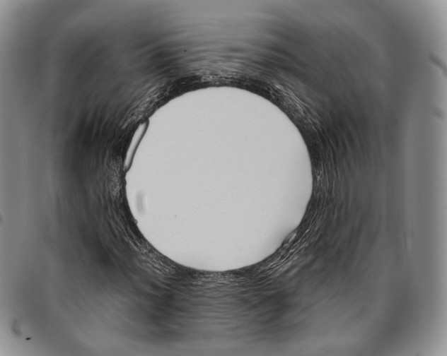 X0000096671012200803041216