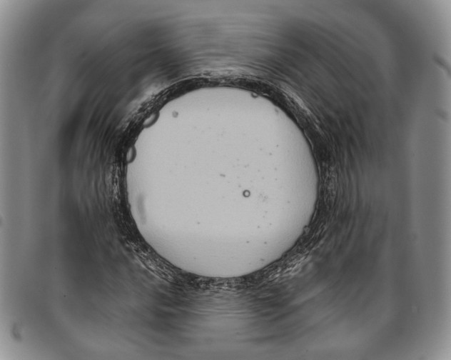 X0000096671016200803041216