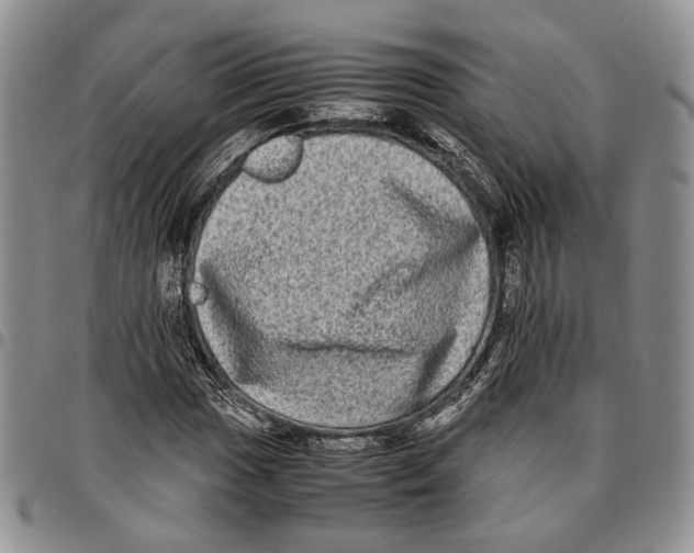 X0000096671017200803041216
