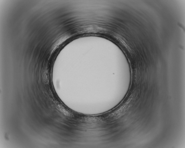 X0000096671018200803041216