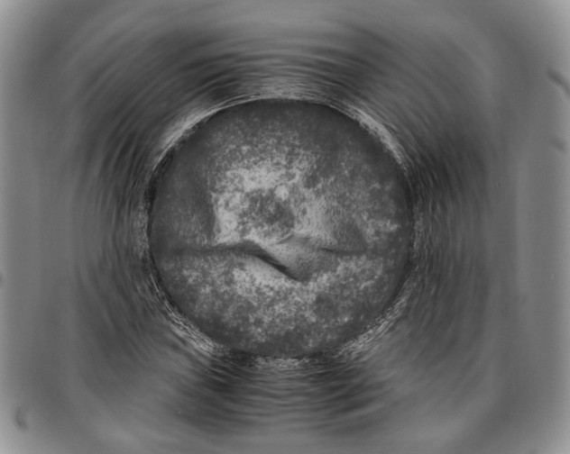 X0000096671019200803041216
