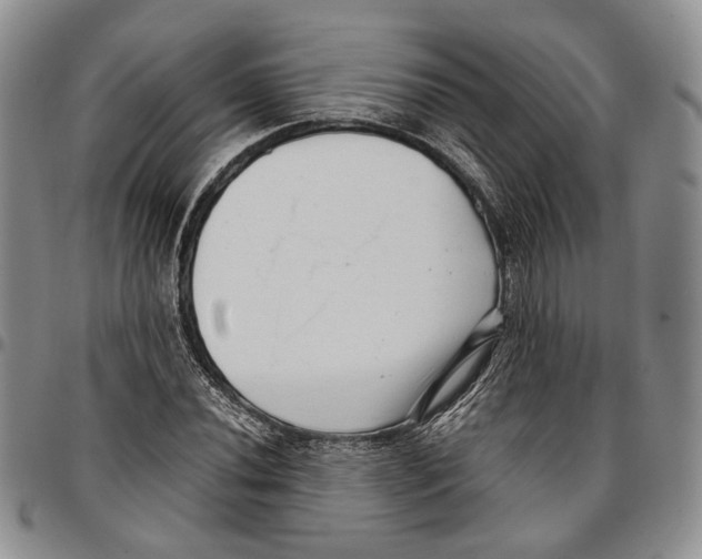 X0000096671020200803041216