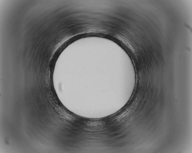 X0000096671021200803041216