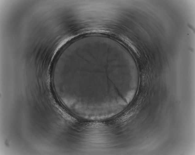 X0000096671024200803041216