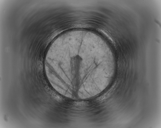 X0000096671025200803041216