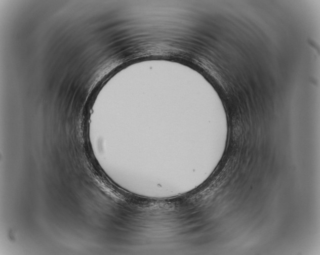 X0000096671026200803041216