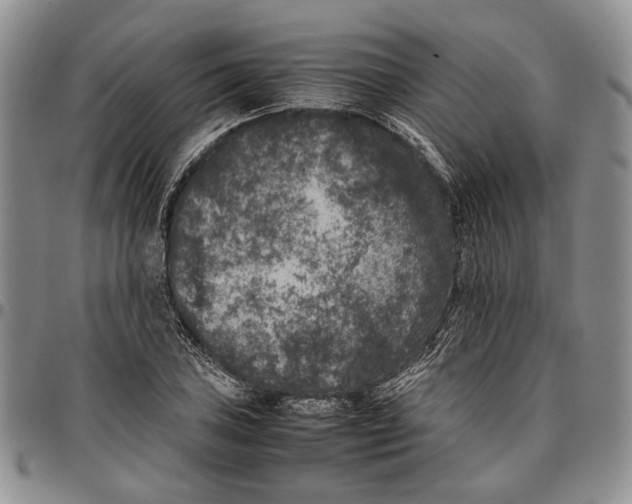 X0000096671027200803041216