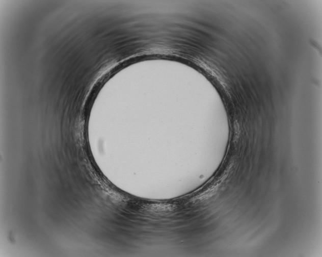X0000096671029200803041216