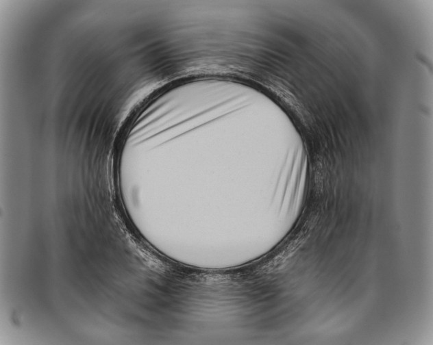 X0000096671030200803041216