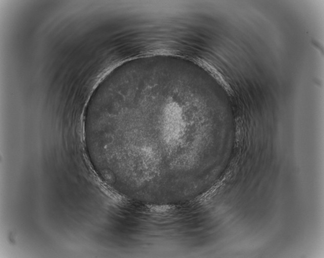 X0000096671031200803041216