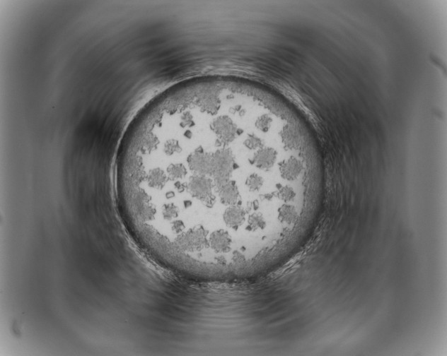 X0000096671032200803041216