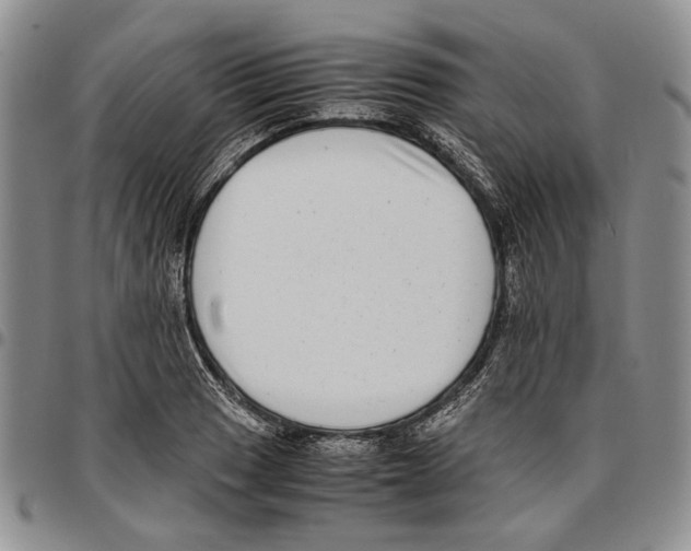 X0000096671033200803041216