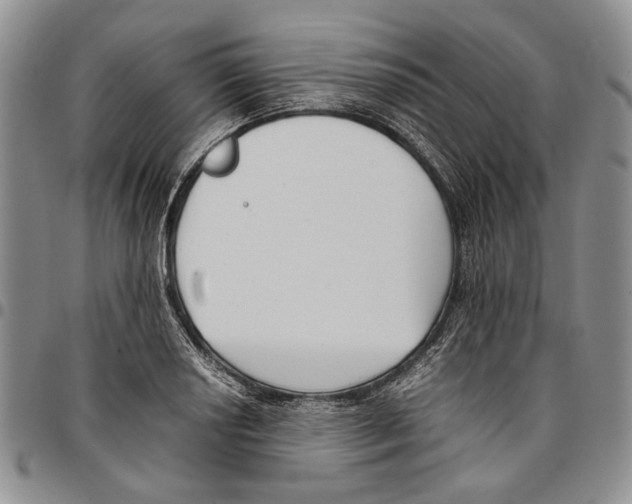 X0000096671034200803041216