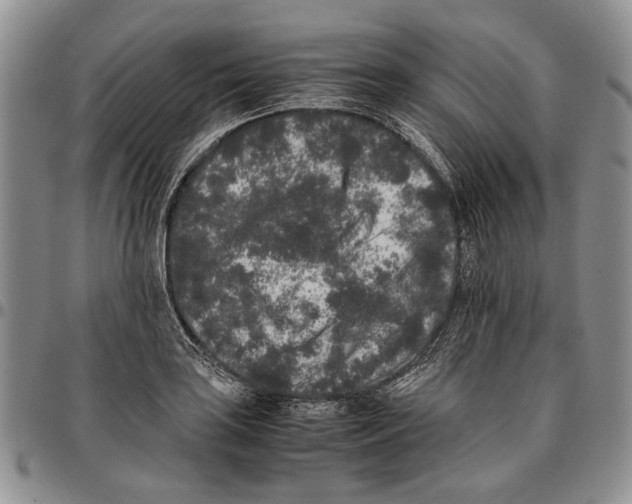 X0000096671035200803041216