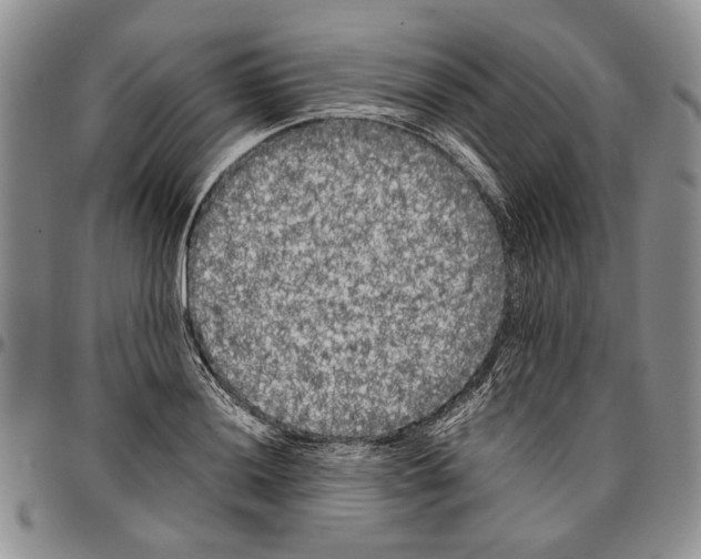 X0000096671036200803041216