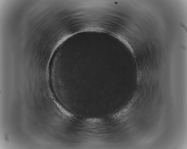X0000096671037200803041216