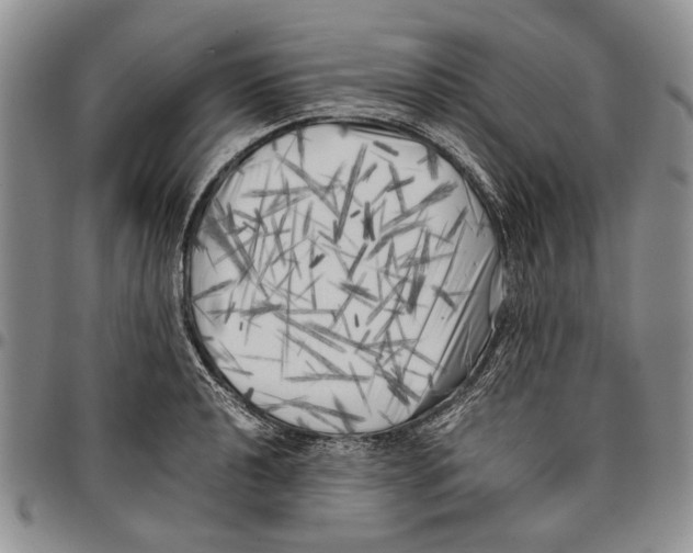 X0000096671040200803041217