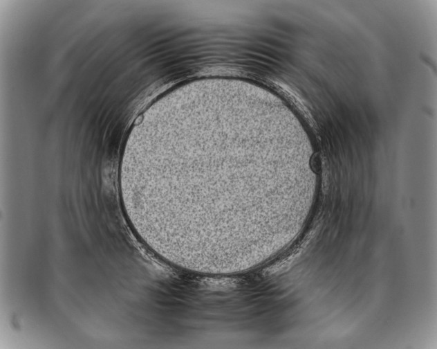 X0000096671041200803041217