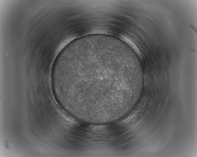 X0000096671043200803041217