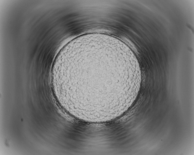X0000096671044200803041217