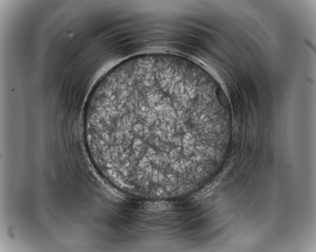 X0000096671045200803041217