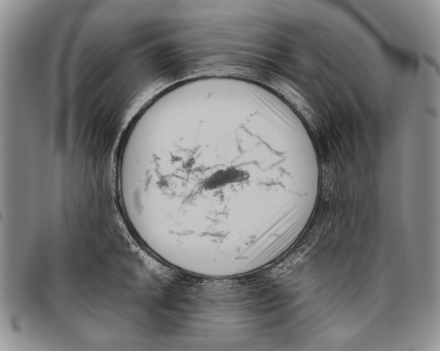 X0000096671046200803041217