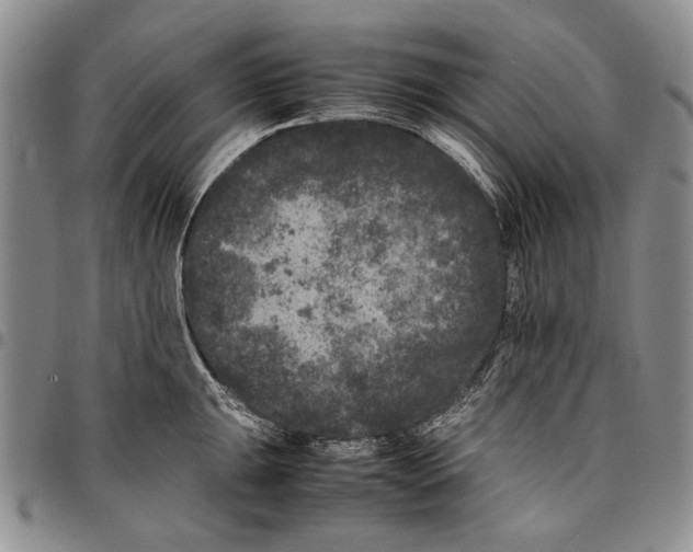 X0000096671047200803041217