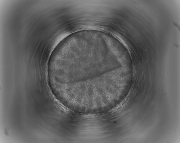 X0000096671048200803041217