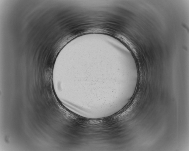 X0000096671049200803041217