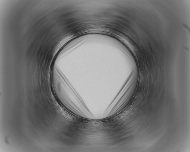 X0000096671050200803041217